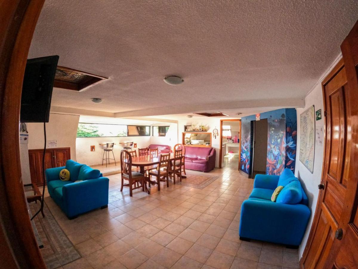 La Izsla Playa Del Carmen Hotell Eksteriør bilde