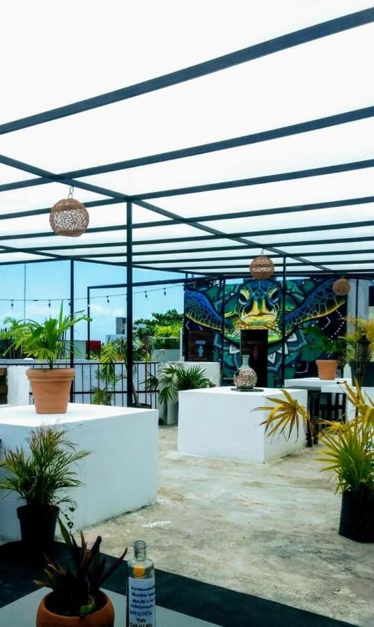 La Izsla Playa Del Carmen Hotell Eksteriør bilde